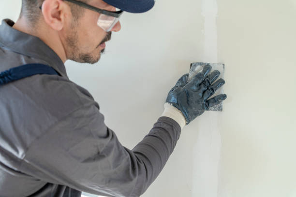 Best Wallpaper Removal and Painting  in Danvle, IL